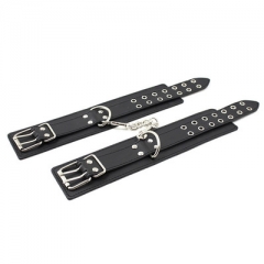 Ankle Restraints