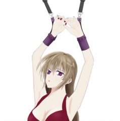 Door hanging handcuffs