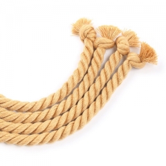 Women's hoop whip