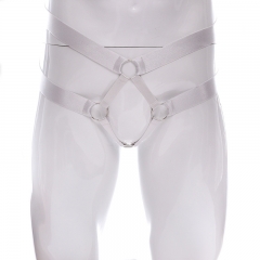 GAY unlockable sexy underwear