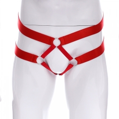 GAY unlockable sexy underwear