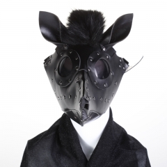 horse's head