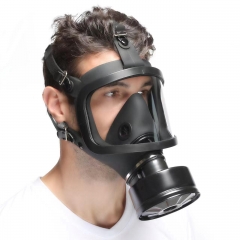 Anti-smog protective gas mask