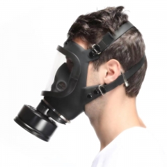 Anti-smog protective gas mask