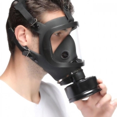 Anti-smog protective gas mask