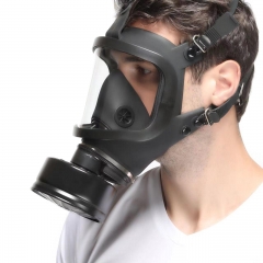 Anti-smog protective gas mask