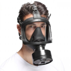 Anti-smog protective gas mask